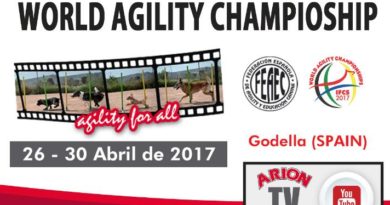 IFCS 2017 Championships Enters Final Day IFCS 2017 Championships Enters Final Day