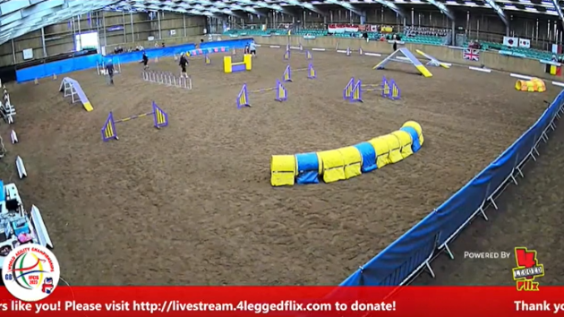 IFCS World Agility Championships