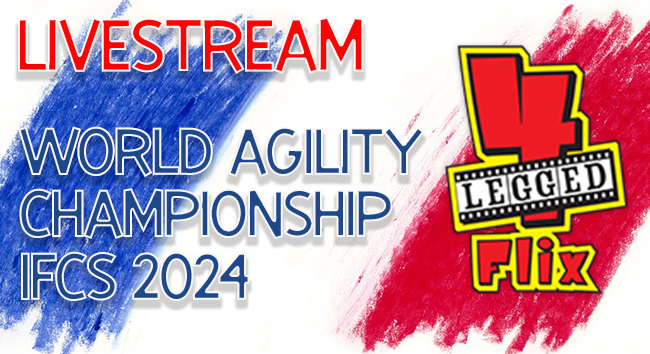 IFCS World Agility Championship 2024 Livestream!
